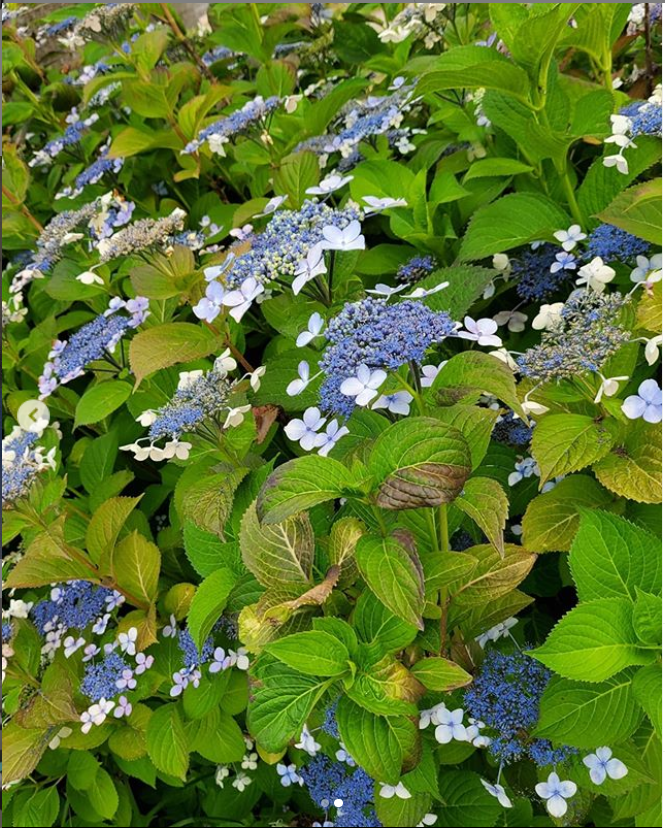 10 năm ngày Park Yong Ha qua đời: Chị đại Kim Hye Soo - Kim Jae Joong đến thăm mộ, dàn sao Hàn khóc nức nở ngày đưa tang mưa gió Ảnh 19