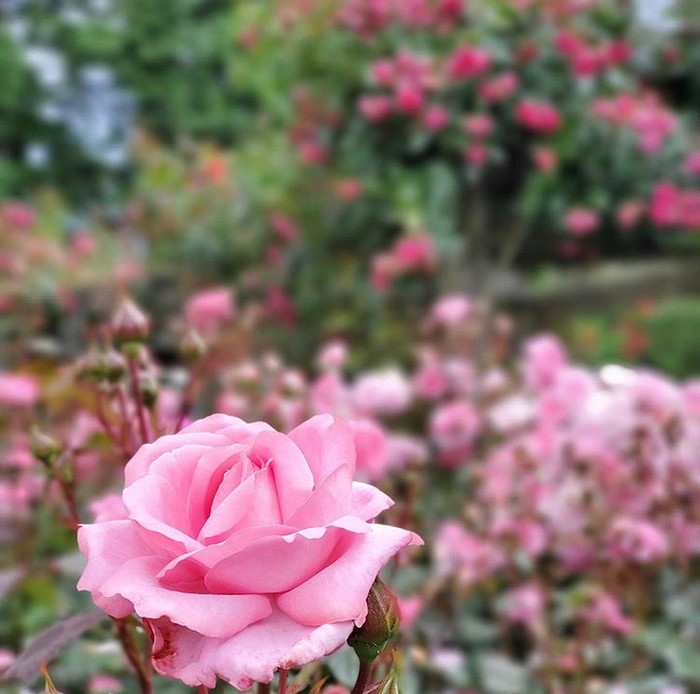 G.NA lộ diện sau 2 năm mất tích vì scandal bán dâm 700 triệu Ảnh 5