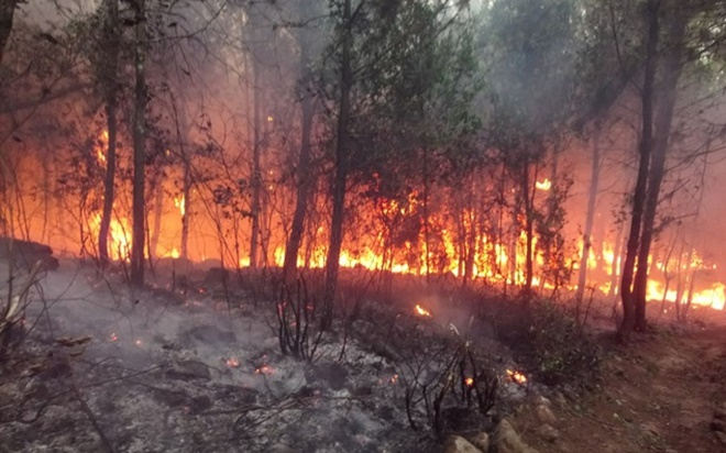 Hàng trăm người chữa cháy rừng ở Thanh Hóa trong hơn 7 giờ Ảnh 2