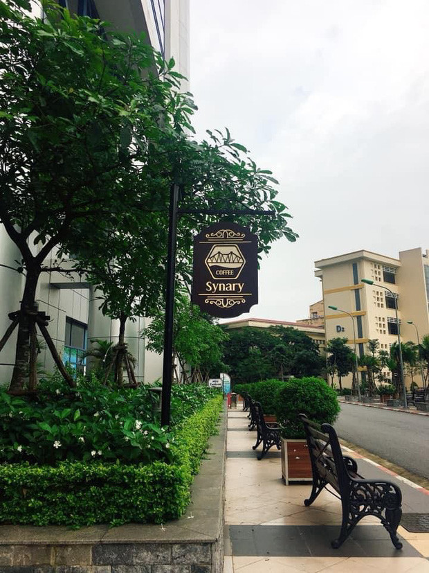 Lối nhỏ dẫn vào quán cafe Synary