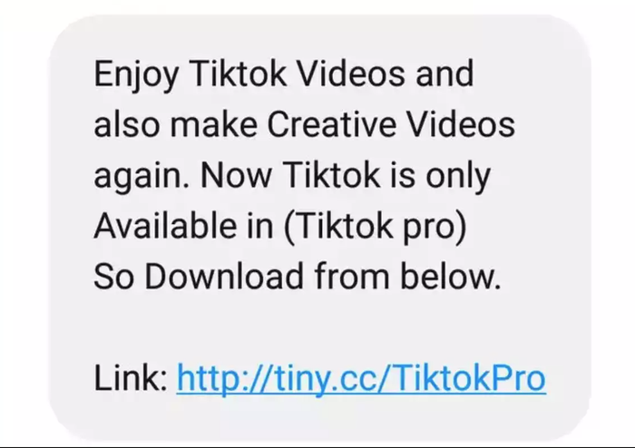 Tin nhắn mời gọi sử dụng TikTok Pro. Ảnh: Timesofindia