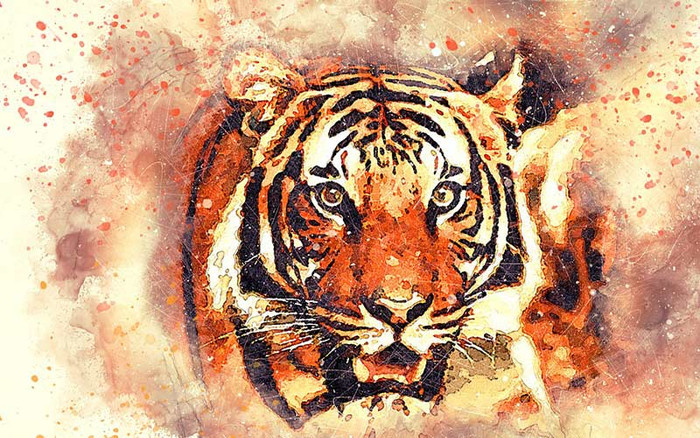 Tử vi thứ 7 ngày 11/7/2020 của 12 con giáp: Dần vợ chồng dễ cãi vã, Thìn cẩn thận kẻ tiểu nhân Ảnh 4