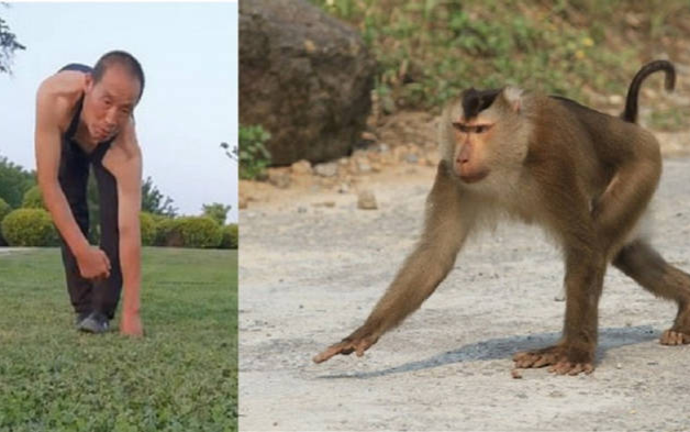 Người đàn ông tập thể dục bằng cả 4 chi như khỉ suốt 3 thập kỷ Ảnh 2