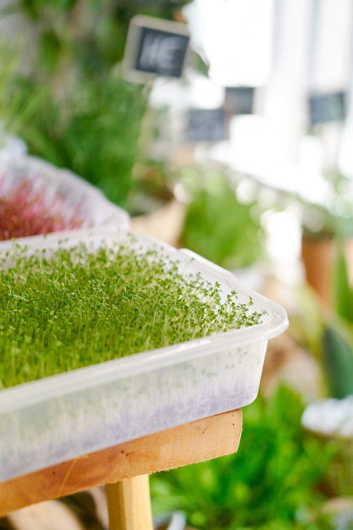 Jun Phạm công khai cuộc sống 'lẻ bóng đi về', lẽ nào đang ngầm thả thính trên diện rộng? Ảnh 11