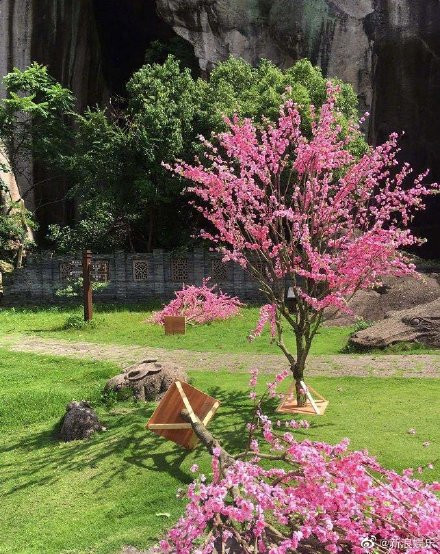 Tiêu Chiến sẽ tham gia dự án bom tấn do iQiyi sản xuất - Tiên kiếm kỳ hiệp 4? Ảnh 6