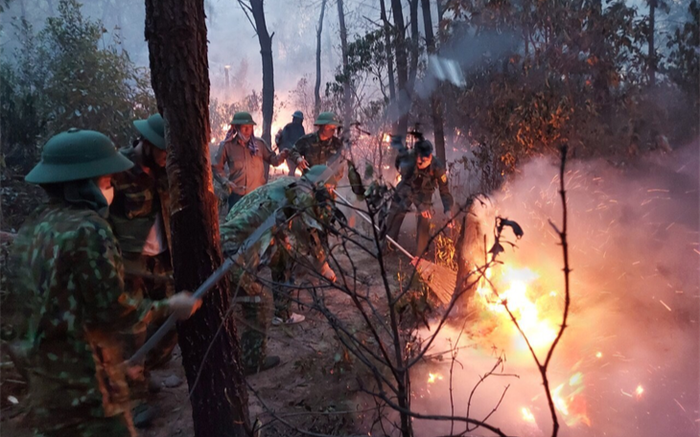 Triệu tập người phụ nữ để điều tra vụ cháy rừng ở Nghệ An Ảnh 2