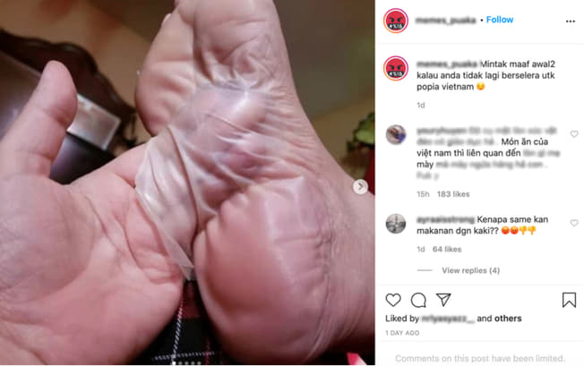 Fanpage nổi tiếng Malaysia 'bay màu' vì so sánh gỏi cuốn Việt Nam với da chân Ảnh 2