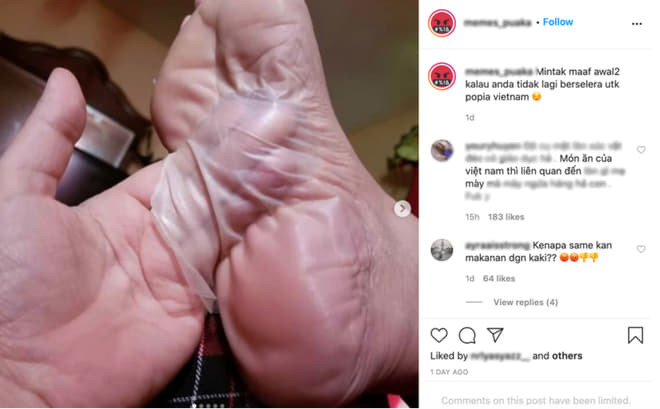 Fanpage nổi tiếng Malaysia 'bay màu' vì so sánh gỏi cuốn Việt Nam với da chân Ảnh 5