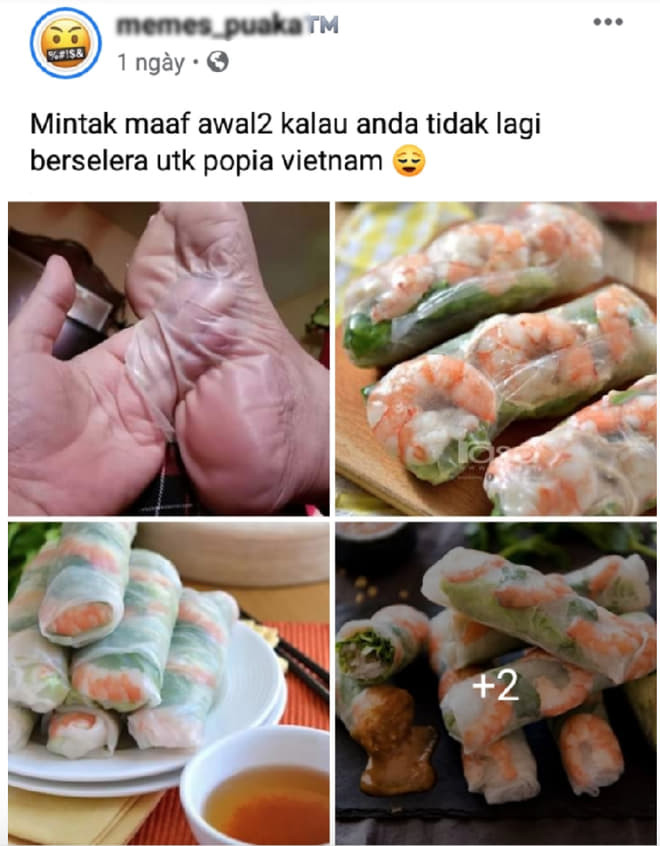 Fanpage nổi tiếng Malaysia 'bay màu' vì so sánh gỏi cuốn Việt Nam với da chân Ảnh 3