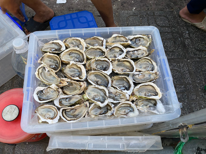 Hàu được chế biến sẵn.