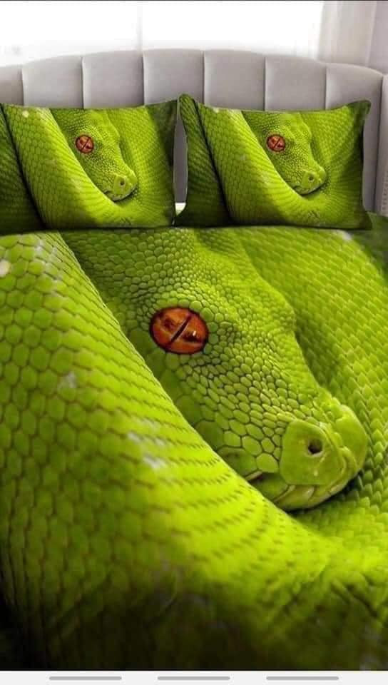 Bộ ga giường không dành cho người yếu tim: Thử thách ngủ cùng trăn, rắn Ảnh 7