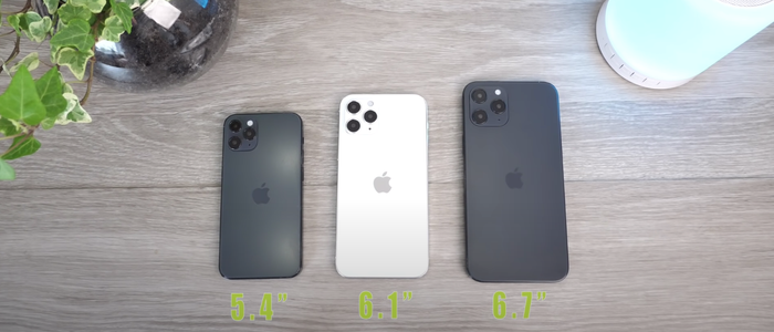 (Ảnh chụp màn hình)