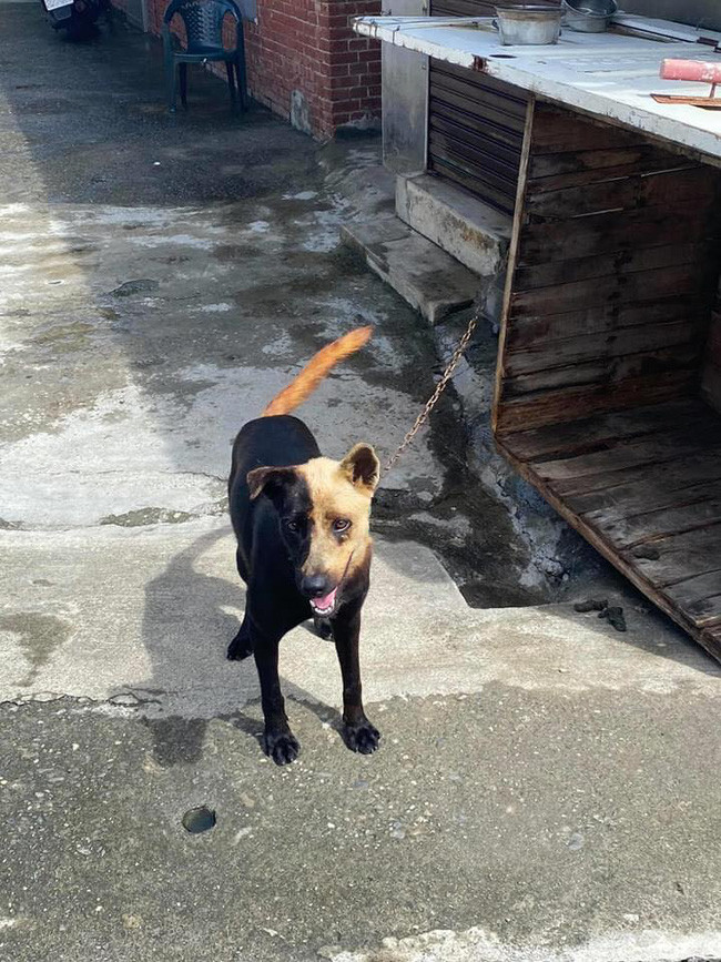 Dù thế nào thì boss vẫn xinh nhé!