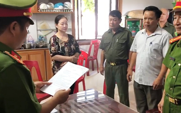 Lợi dụng dịch COVID-19 để buôn lậu lúa gạo, một nữ giám đốc bị khởi tố Ảnh 2