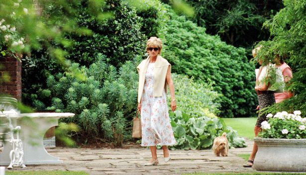 Công nương Diana và bản thỏa thuận ly hôn 'rút sạch' tiền của Thái tử Charles Ảnh 6