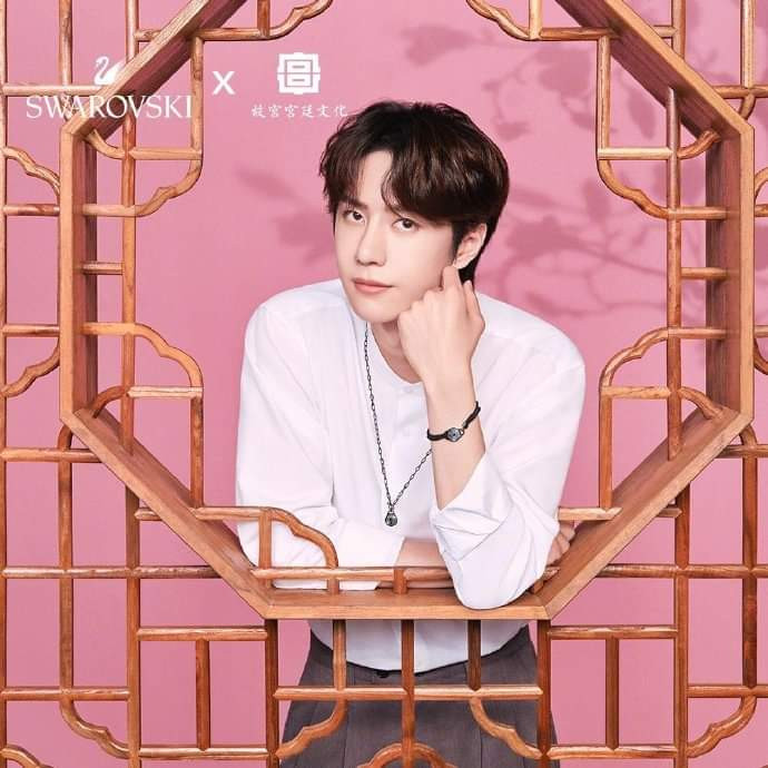 Vương Nhất Bác trong bộ sưu tập Swarovski theo văn hóa cung đình: Dịu dàng như công tử văn nhã Ảnh 6