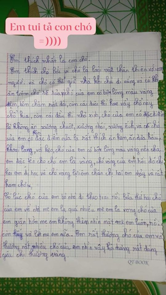 Bài văn tả chú chó khiến cộng đồng mạng cười nghiêng ngả: 'Có lúc chó của em bỏ nhà theo trai' Ảnh 4