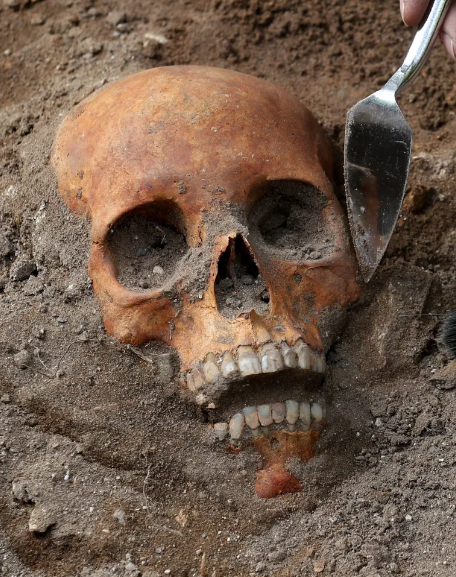 Phát hiện hài cốt niên đại 700 năm bên dưới công trình trạm xe điện Ảnh 3