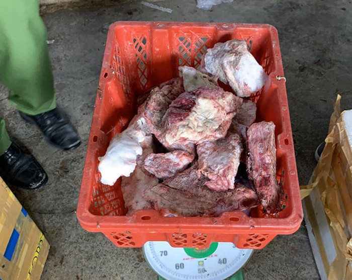 Thịt heo nái già đã ôi thiu. Ảnh: PN/PLO