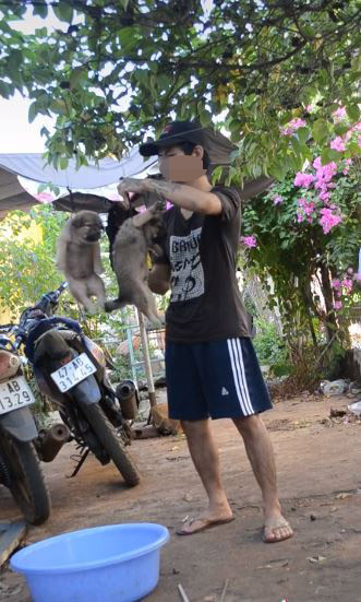 Dân mạng tranh cãi gay gắt câu chuyện chàng trai phơi chó trên móc treo Ảnh 3