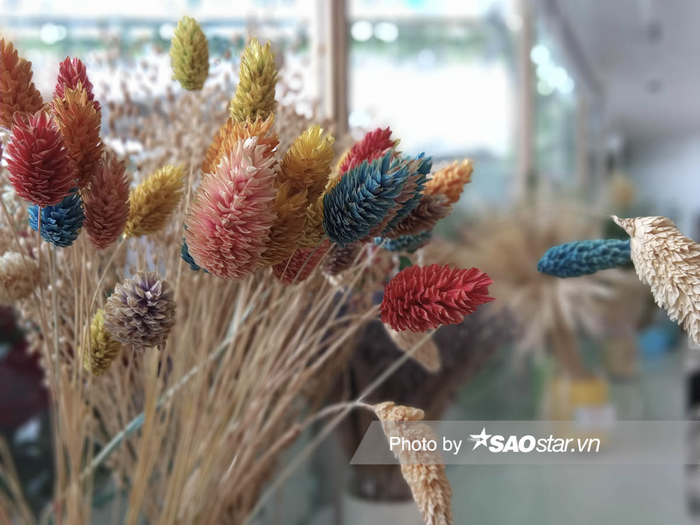 Khả năng xóa phông hoạt đồng khá ổn ngay cả với chủ thể nhỏ và trong bối cảnh rối như thế này.