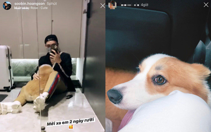 Soobin Hoàng Sơn và 'bạn gái tin đồn' vô tình để lộ chi tiết nghi vấn đang hẹn hò? Ảnh 2