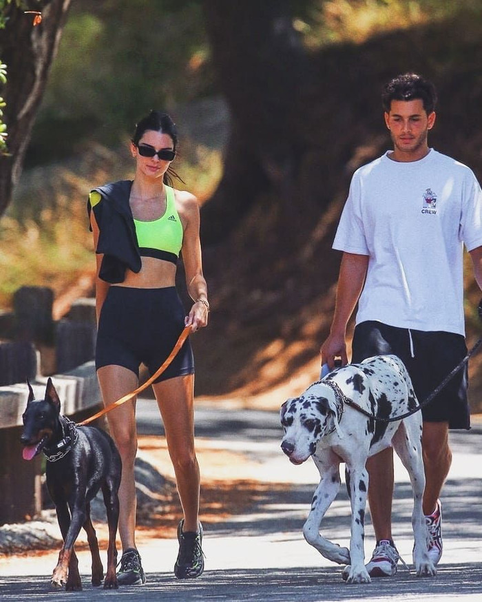 Kendall Jenner và Fai thường xuyên luôn bắt gặp bên nhau từ dạo phố cùng cún 