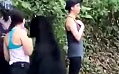 Bị gấu đen to lớn từ đâu tiến gần, ngửi tóc, nữ du khách có phản ứng đáng kinh ngạc Ảnh 2