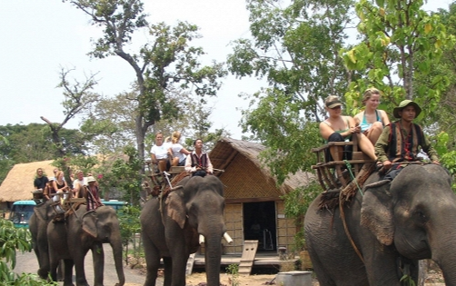 Nữ du khách bị gãy 4 xương sườn khi cưỡi voi du lịch tại Đak Lak Ảnh 2