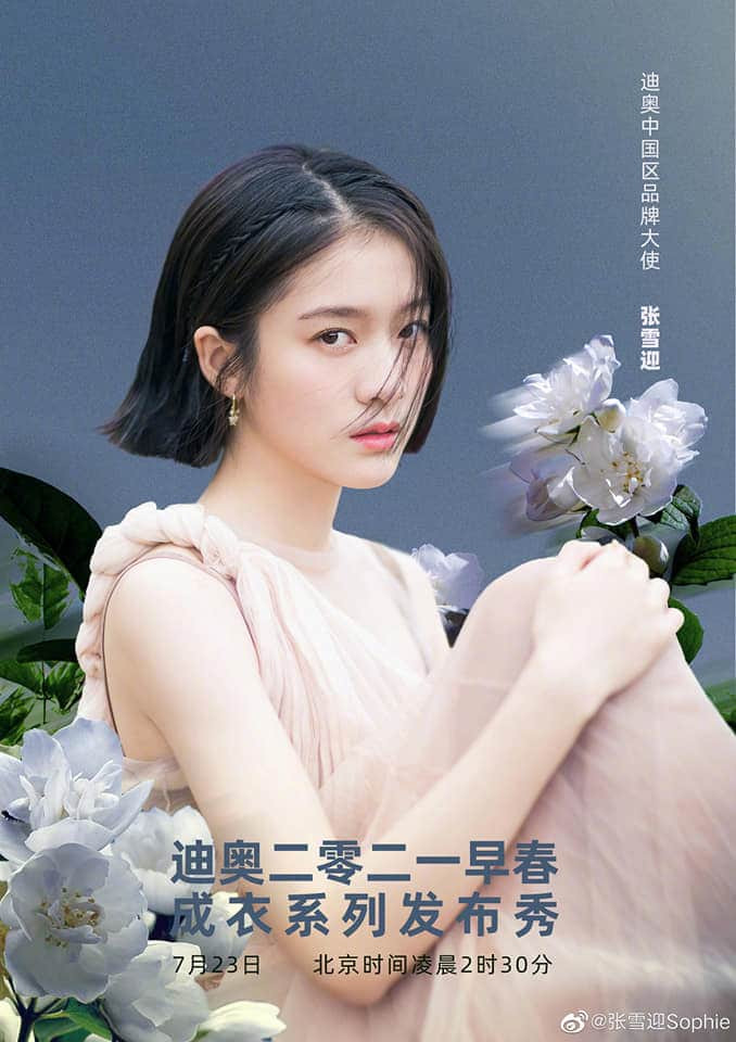 Bộ sưu tập của Dior: Triệu Lệ Dĩnh và Angelababy được đặt lên bàn cân so sánh, ai hơn ai? Ảnh 3