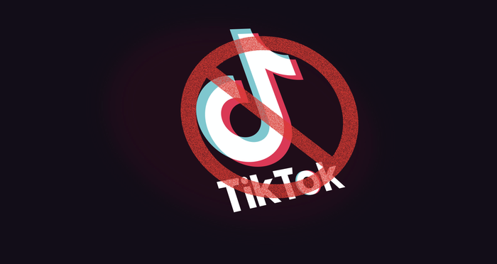 Ủy ban Thượng viện Mỹ hôm nay đã nhất trí phê duyệt đề xuất cấm sử dụng TikTok trên các thiết bị do chính phủ cung cấp. (Ảnh: Interesting Fact)