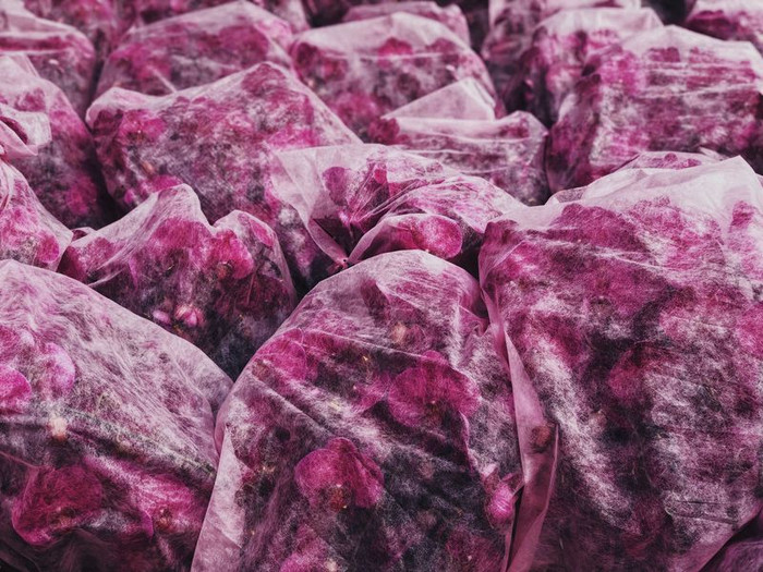 (Nhiếp ảnh gia: Hao Wen)