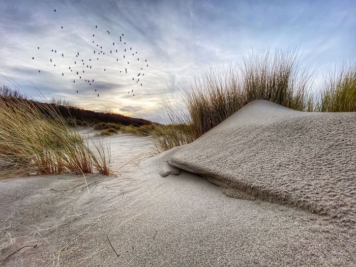 (Nhiếp ảnh gia: Nico Brons)