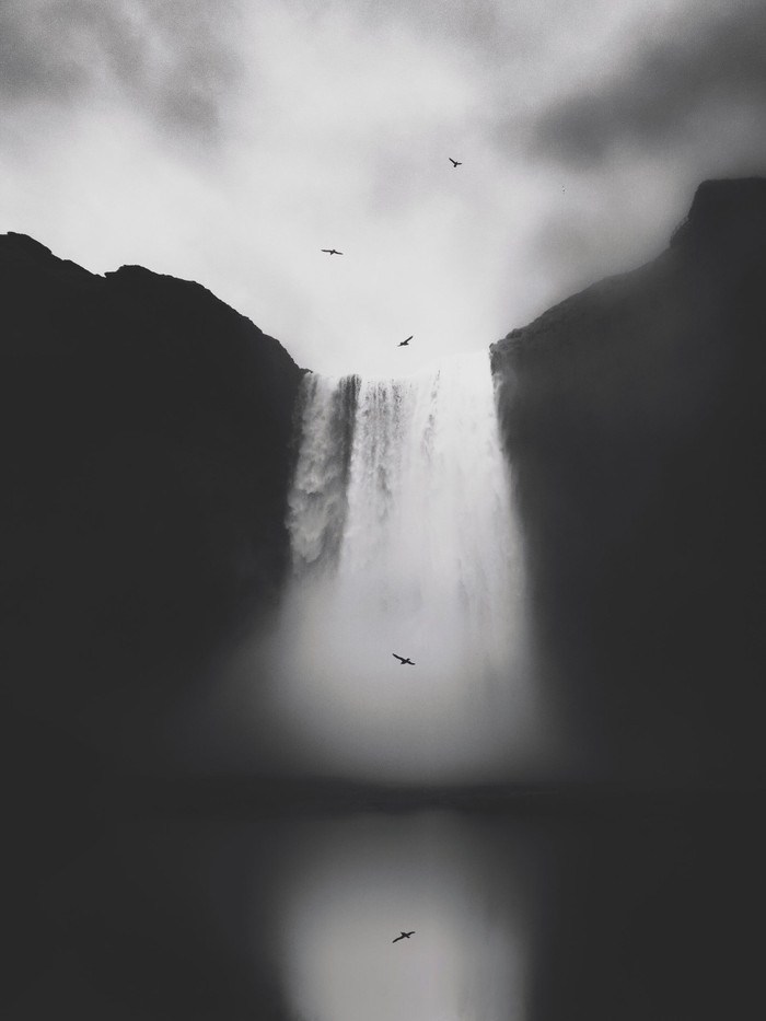 Giải nhất hạng mục 'Tự nhiên' là bức ảnh được chụp bằng iPhone 7 Plus. (Nhiếp ảnh gia: Lisi Li)