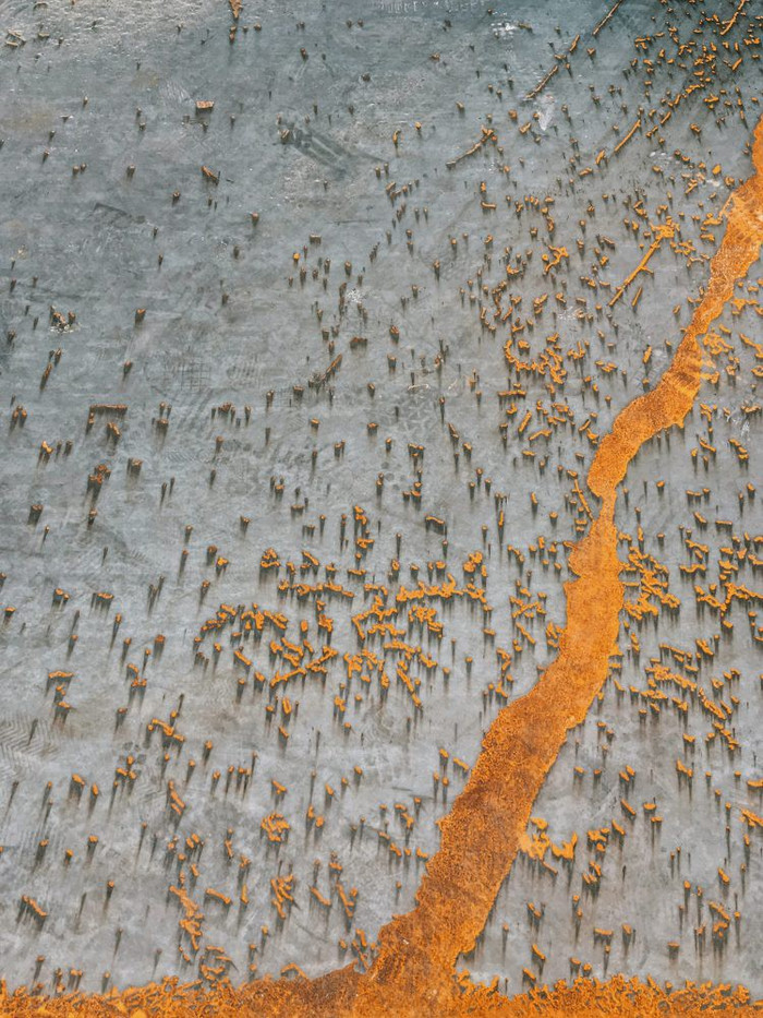 Giải nhất hạng mục 'Trừu tượng' là bức ảnh được chụp bằng iPhone 7 Plus. (Nhiếp ảnh gia: Tu Odnu)