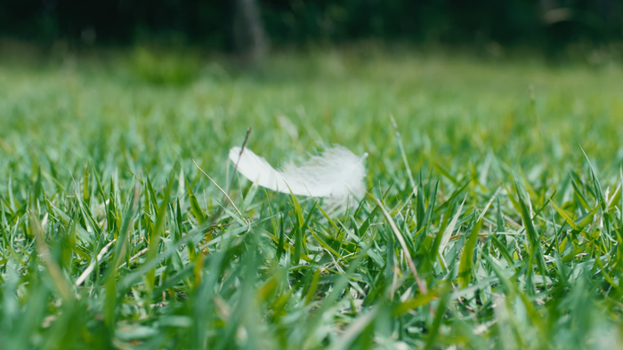 Lee Hi chính thức tái xuất với Holo: MV nặng tâm lý nhưng nhạc lại hao hao một bản hit đình đám của Meghan Trainor Ảnh 12