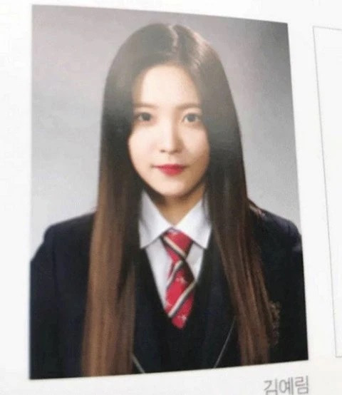 Nhan sắc tự nhiên 'không dao kéo' qua loạt ảnh tốt nghiệp của các nữ thần K-Pop Ảnh 23