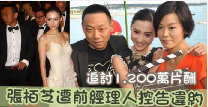 Trương Bá Chi phá sản, nợ hơn 30 tỷ đồng không có khả năng chi trả? Ảnh 3