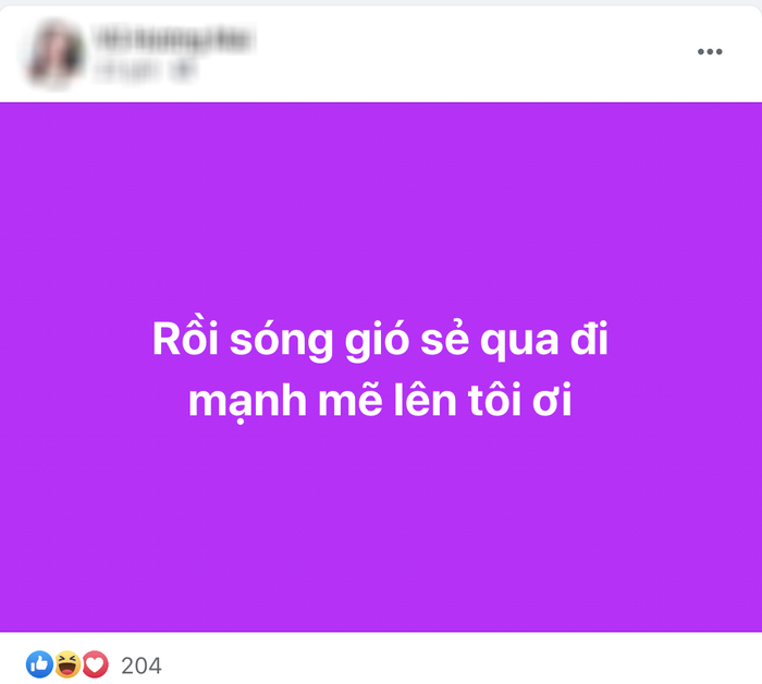 Trang cá nhân giả mạo này liên tục đăng những bài đăng khiêu khích cư dân mạng.