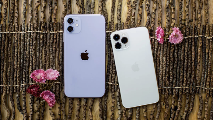 Kể từ khi Apple ra mắt iPhone 11, giá của các mẫu iPhone đã có xu hướng giảm hơn so với các thế hệ trước. (Ảnh: Cnet)
