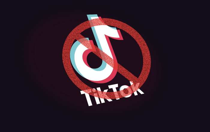 Nhật Bản có thể là quốc gia tiếp theo 'cấm cửa' TikTok Ảnh 2