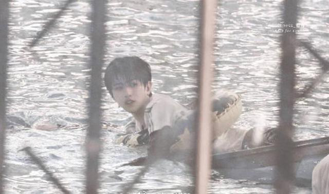 Fan của Thái Từ Khôn được gọi là người cố gắng nhất thế giới: Leo núi trèo cây xuống biển không gì là không thể Ảnh 10