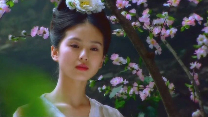 Vị thế của dàn tiểu hoa Cbiz tại quốc tế: Triệu Lệ Dĩnh thua kém nhất, Lưu Diệc Phi có tương lai hứa hẹn Ảnh 6