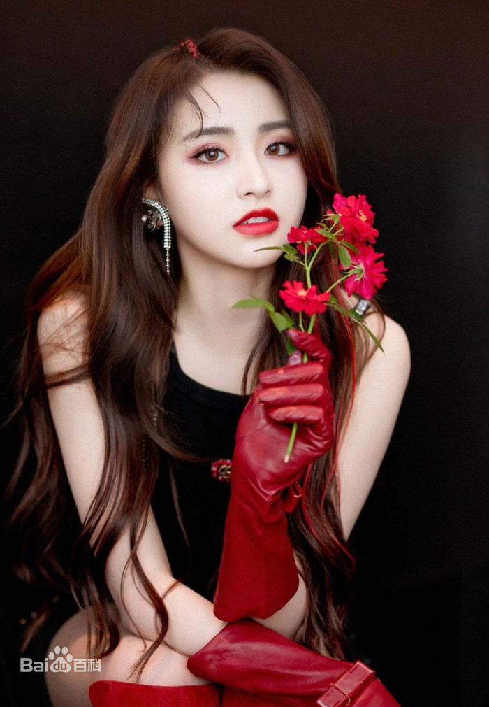 Kim Tử Hàm cũng xuất hiện trong tin đồn về dự án phim remake Những người thừa kế.