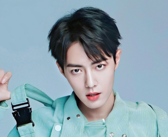 Uông Hải Lâm bất ngờ nâng tầm Tiêu Chiến: 'Anh ta không phải là người thường mà là một biểu tượng' Ảnh 4