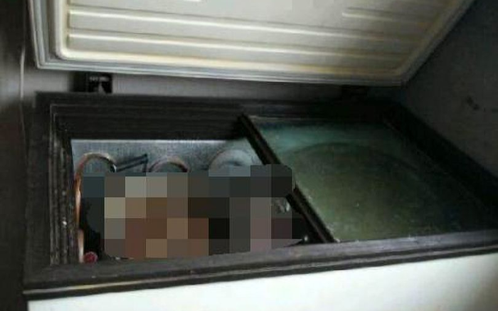 Giấu xác mẹ trong tủ đông để tiếp tục nhận lương hưu Ảnh 2