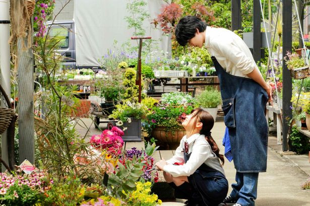 'Hãy đến hôn em vào lúc nửa đêm': Chuyện ngôn tình ngọt sâu răng của chàng mỹ nam idol và nàng fan girl 'bánh bèo' Ảnh 17