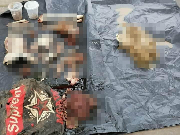 Tàn dư còn sót lại của Ricky trong bụng cá sấu.