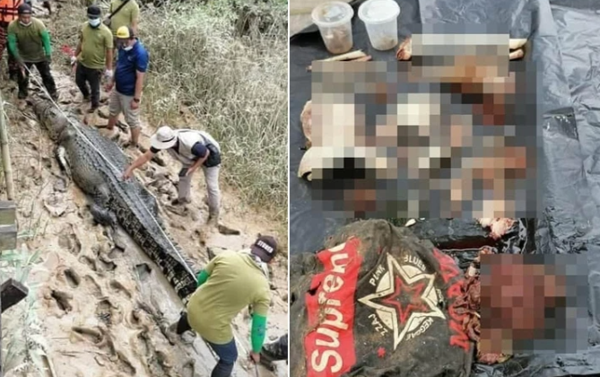 Mất tích 6 ngày, thiếu niên 14 tuổi được tìm thấy trong bụng cá sấu dài 4,7m Ảnh 2