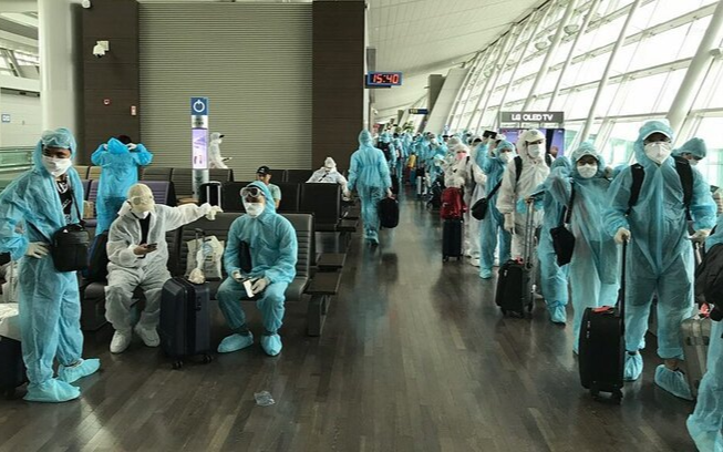 Đưa 230 công dân Việt Nam mắc kẹt tại Hàn Quốc về nước an toàn Ảnh 2